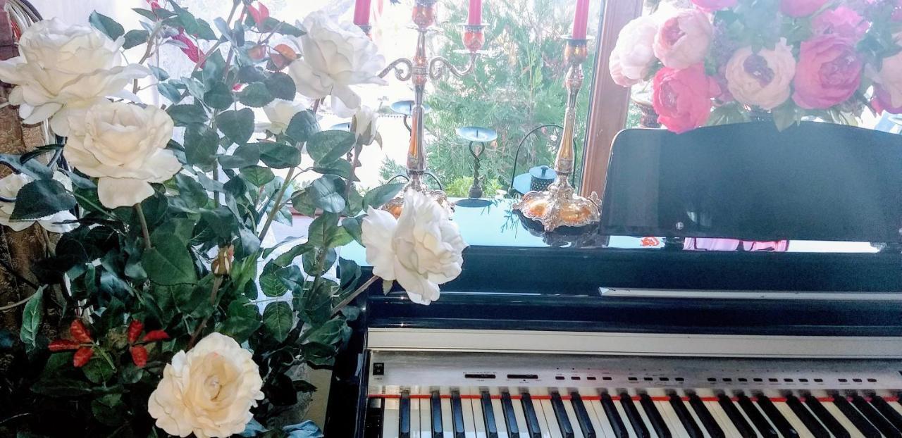 فندق Shalanda أوديسا المظهر الخارجي الصورة